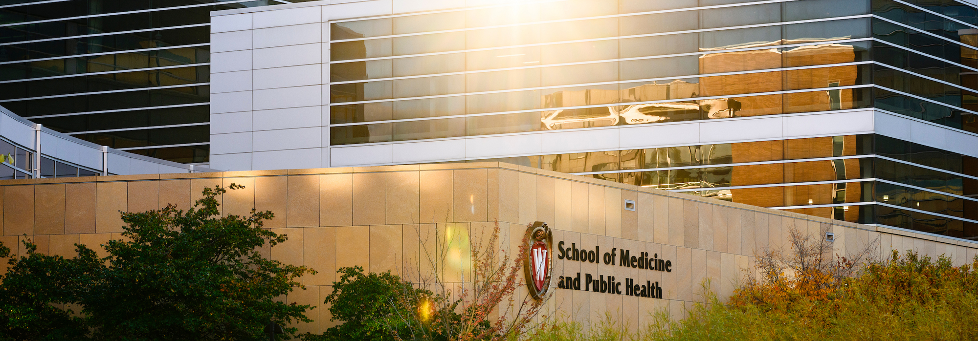 Sunlight on the Health Sciences Learning Center