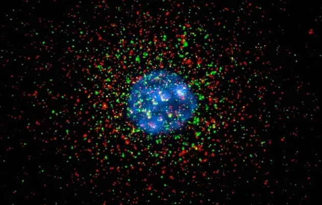 Scientific image showing a mostly blue center surrounded by red and green radiating flecks