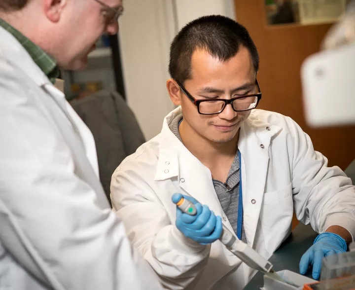 Two scientists working together in a lab