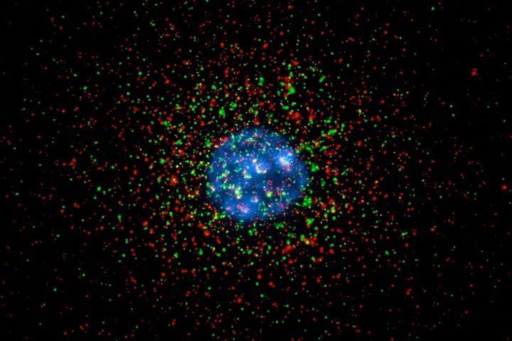 Scientific image showing a mostly blue center surrounded by red and green radiating flecks