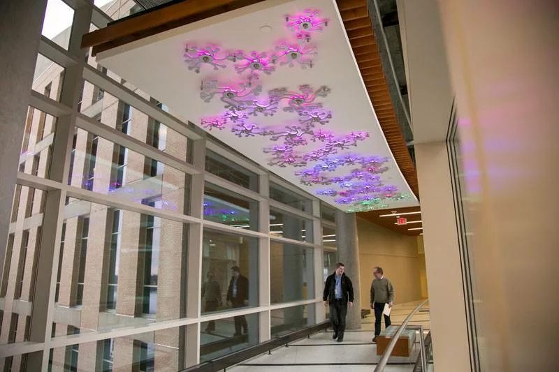 Artwork on a ceiling of a corridor in the Wisconsin Institutes for Medical Research (WIMR) building