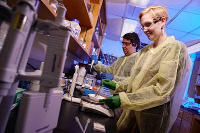 Two scientists working in a lab