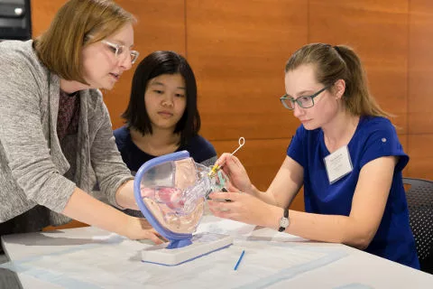 Students practice a pelvic exam with a pelvis model