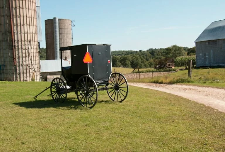 A four-wheeled buggy on a farm